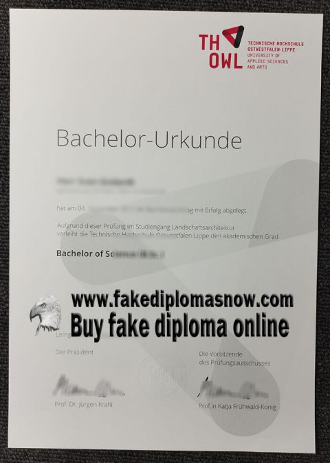 How to buy a realistic TH OWL Urkunde online? Buy diploma