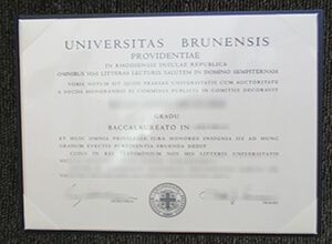 Brown University Fake diploma, buy a degree