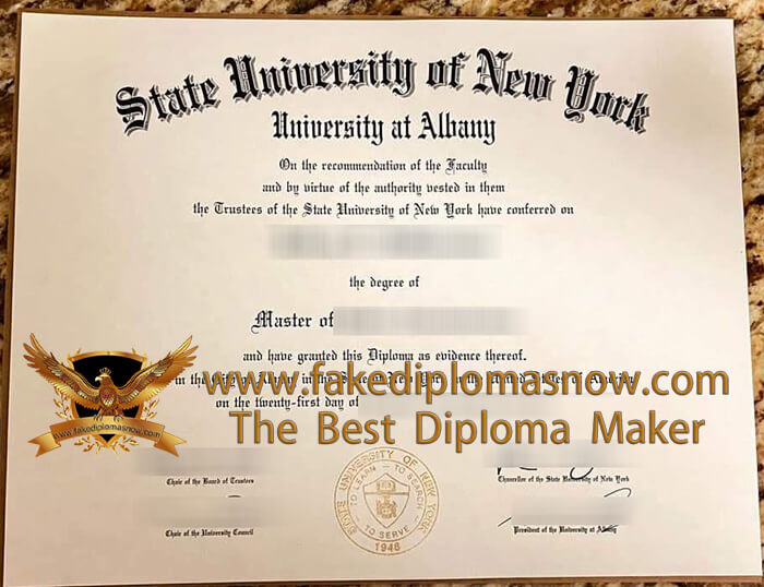 University at Albany diploma