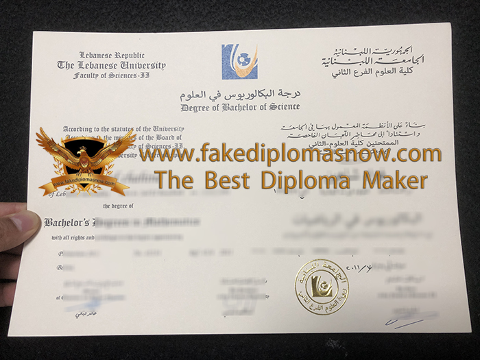 Lebanese University BSc diploma