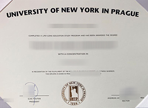 Free Advice On Get University Of New York In Prague Diploma