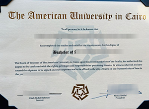 Where can I purchase a American University in Cairo diploma?