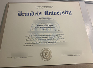 Brandeis University diploma certificate