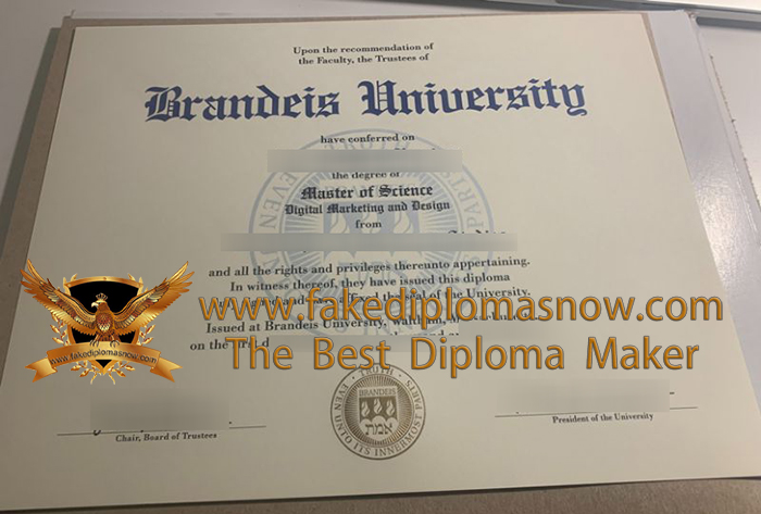 Brandeis University diploma