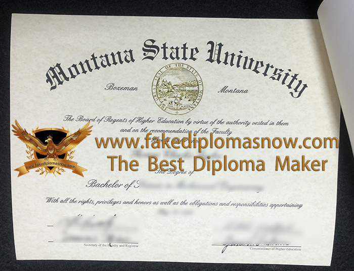 Montana State University diploma