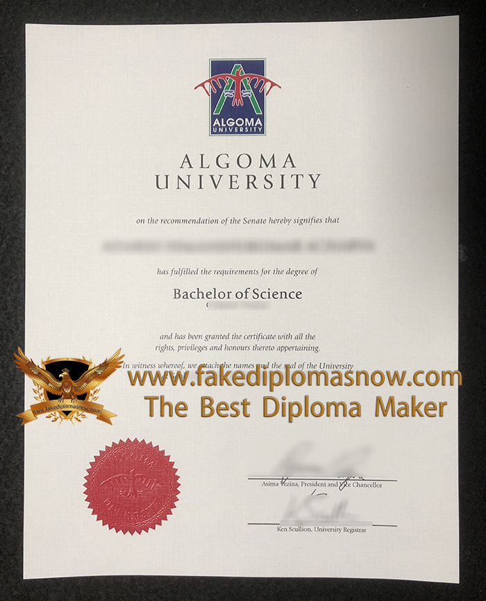 Algoma University degree