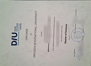 Dresden International University Urkunde certificate