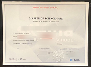 Skema Business School diploma certificate