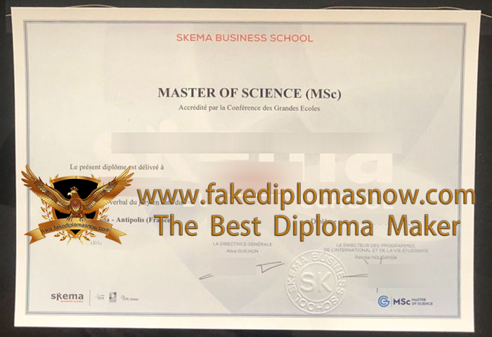 Skema Business School diploma