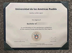 UDLAP degree certificate