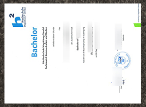 Hochschule Magdeburg-Stendal degree certificate