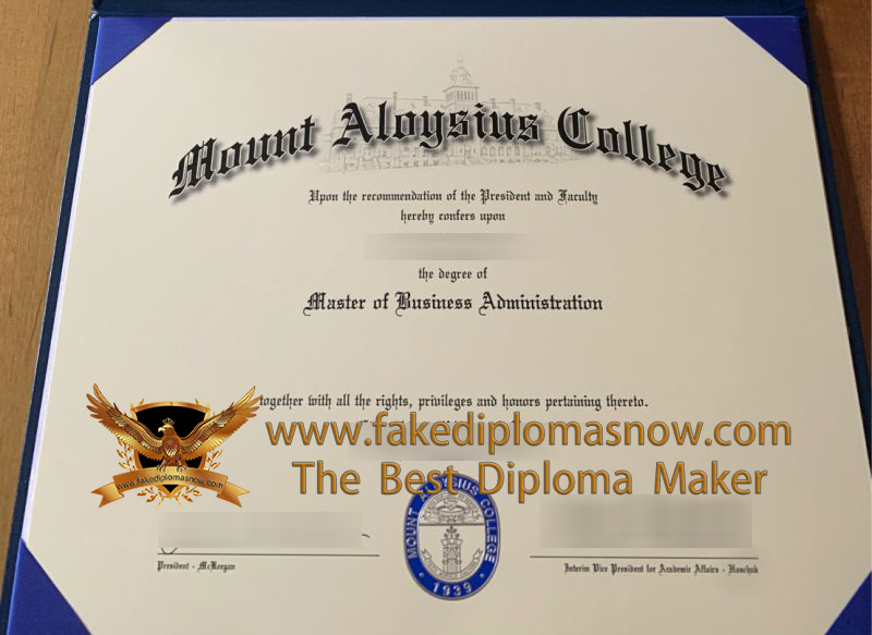 Mount Aloysius College MBA degree