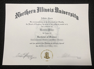 Northern Illinois University BSc Degree Certificate