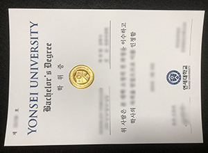 Yousei University Bachelor's Degree Certificate