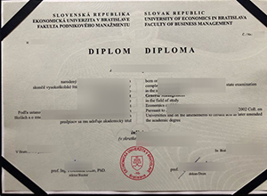 Ekonomická univerzita v Bratislave diploma sample