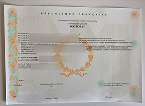 Paris Cité University diploma certificate