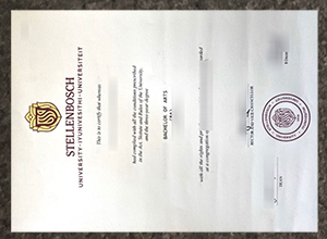 Stellenbosch University degree certificate