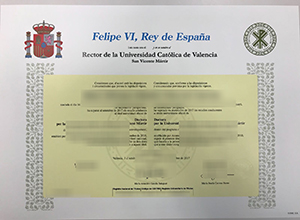 Universidad Católica de Valencia San Vicente Mártir diploma