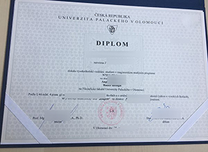 Univerzita Palackého v Olomouci diploma certificate