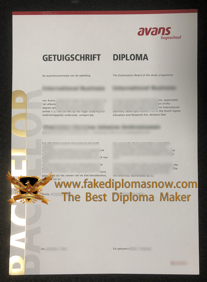 Avans Hogeschool diploma