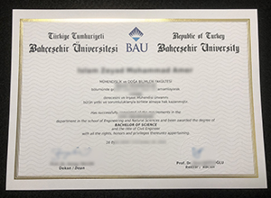 Bahçeşehir Üniversitesi diploma, BAU BSc Degree