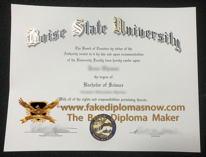 Boise State University Degree Certificate