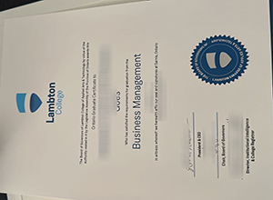 Lambton College Graduate certificate