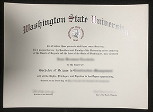 Washington State University BSc Degree sample