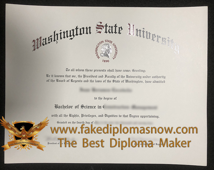 Washington State University BSc Degree