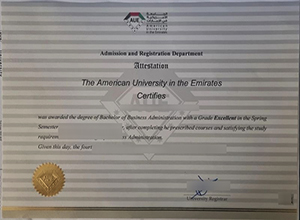 American University in the Emirates degree sample