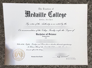 Medaille College Diploma Certificate