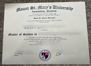 Mount St. Mary's University MSc degree sample