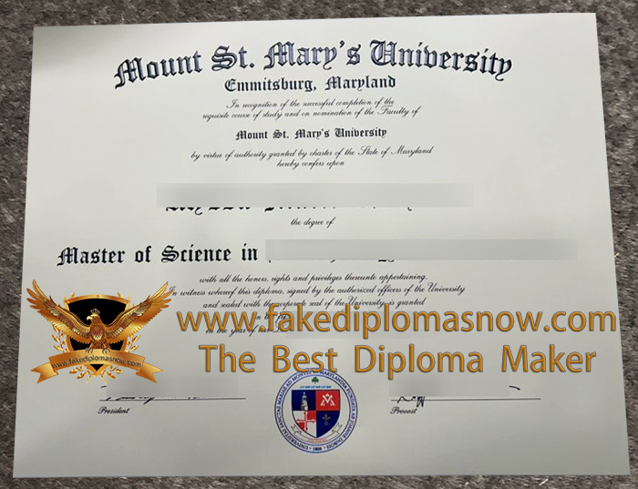 Mount St. Mary's University MSc degree