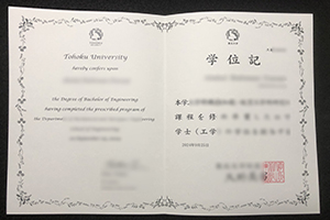 Tohoku University degree certificate