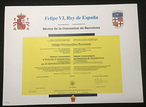 Universitat de Barcelona master's diploma sample