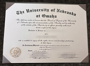 University of Nebraska Omaha degree