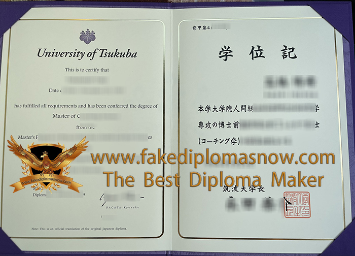 University of Tsukuba degree