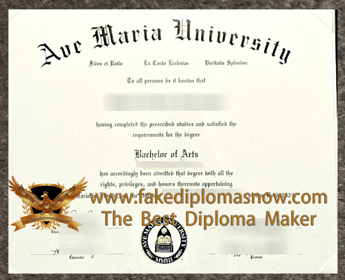 Ave Maria University diploma