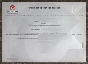 Purchase an Erasmushogeschool Brussel degree in Belgium