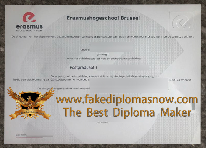 Erasmushogeschool Brussel degree