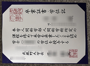 Musashino University diploma sample