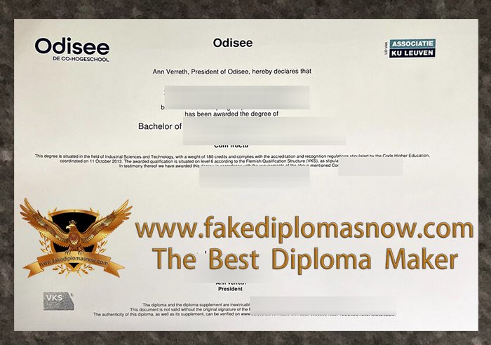 Odisee Hogeschool Diploma