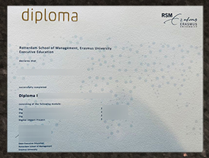 Buy a RSM diploma in Netherlands, Order a Rotterdam School of Management diploma