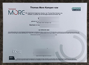 The Costs To Make a Thomas More Hogeschool degree