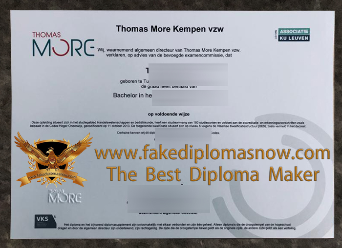 Thomas More Hogeschool degree