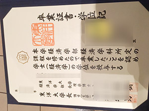 Toyo University diploma sample