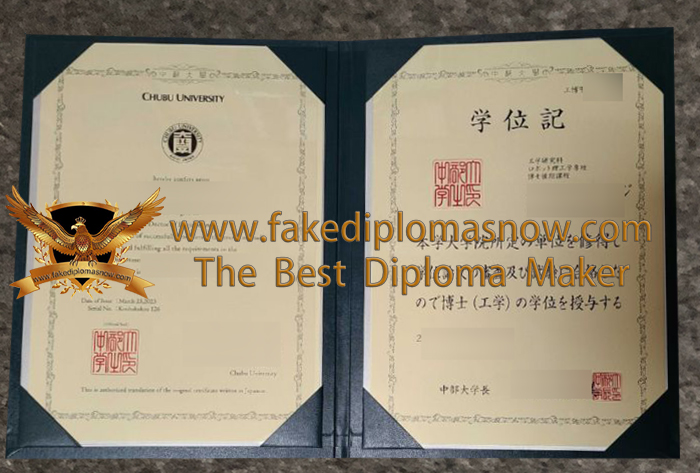 Chubu University diploma