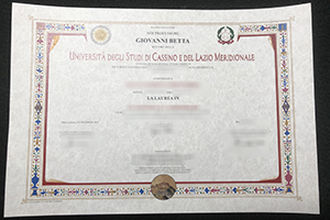 Can I get a Università degli Studi di Cassino e del Lazio Meridionale diploma?